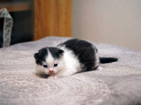 Vasya am 27. Januar 2026